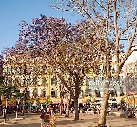 Apartment Centro De - Calle Zanca Malaga